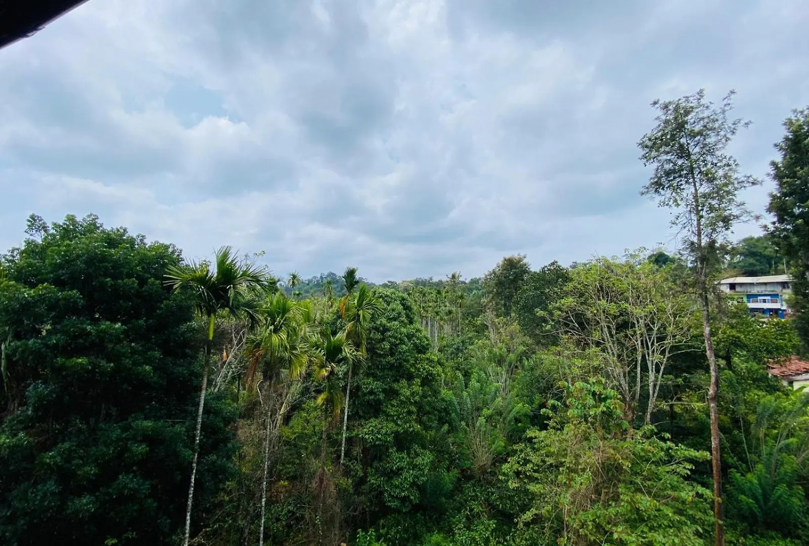 O'Live Inn Wayanad Vaduvanchal インド